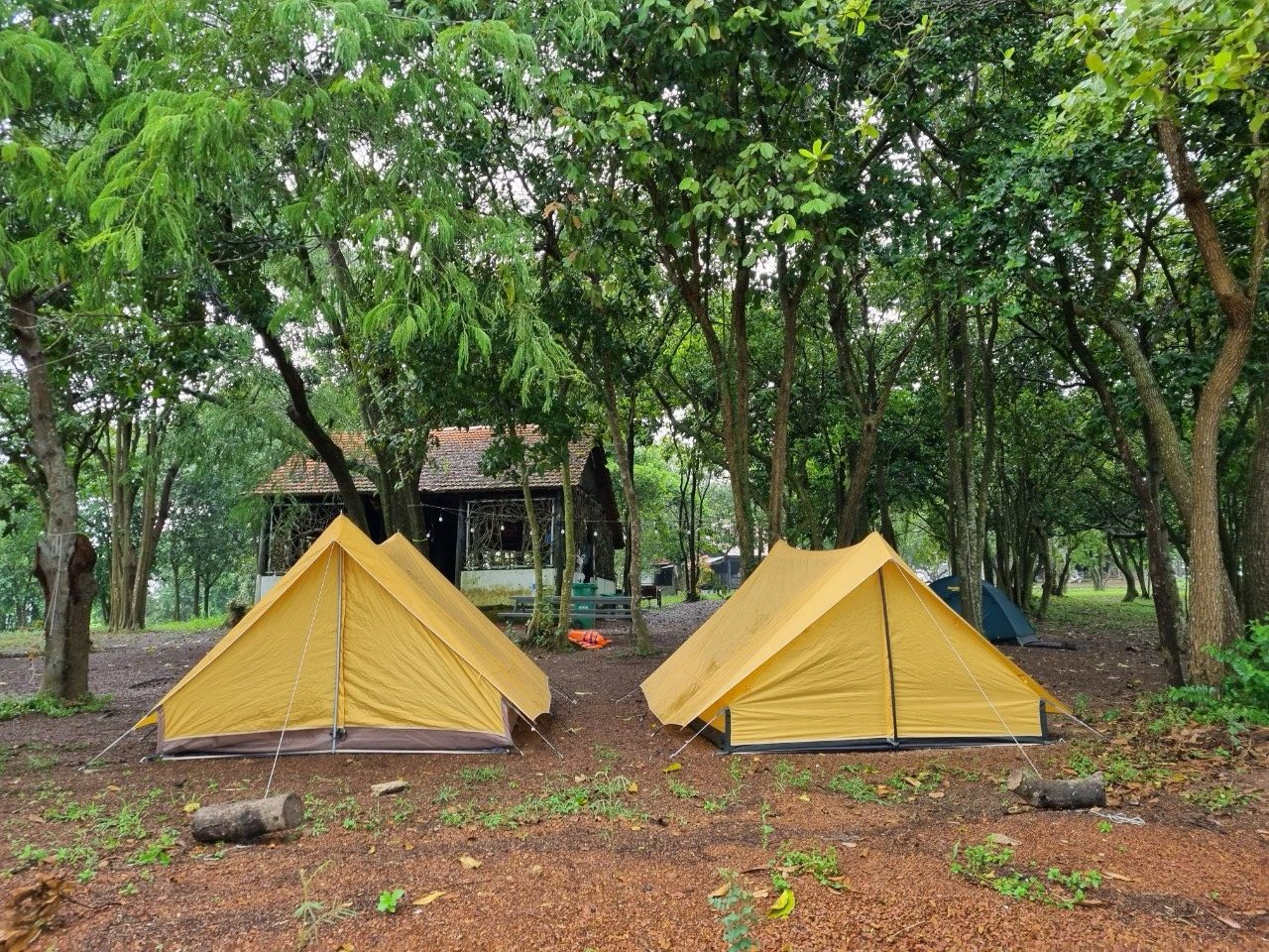 Cắm trại qua đêm